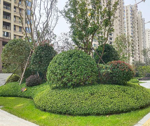 廣東園林綠化設計